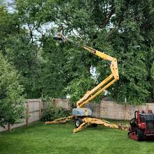 Mulching Services in Buffalo, SC